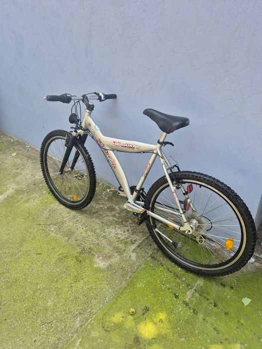 Bicicleta bergamot dragsta