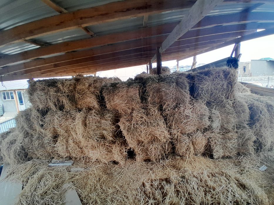 Жоңышқа сатылады