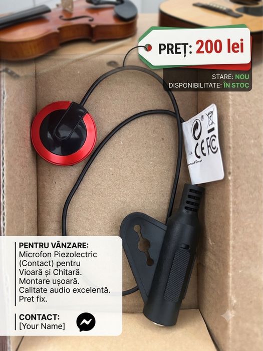 Microfon , doza vioara , chitara clasica