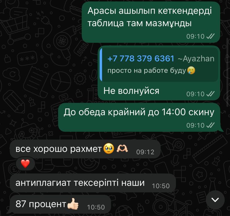 Дипломная работа
