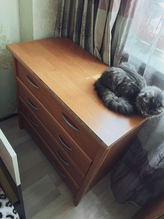 Ищу на подселение девушку