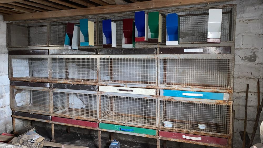 Крольчатник продам срочно