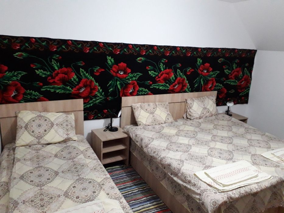 Cazare Bucovina Zona Putna