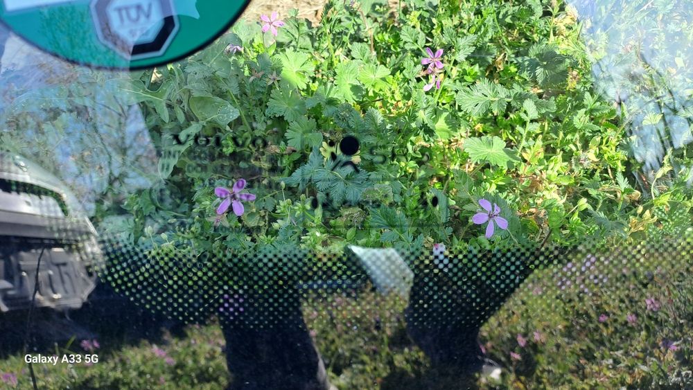 Предно (челно) стъкло за Volvo C30 /Волво ц30