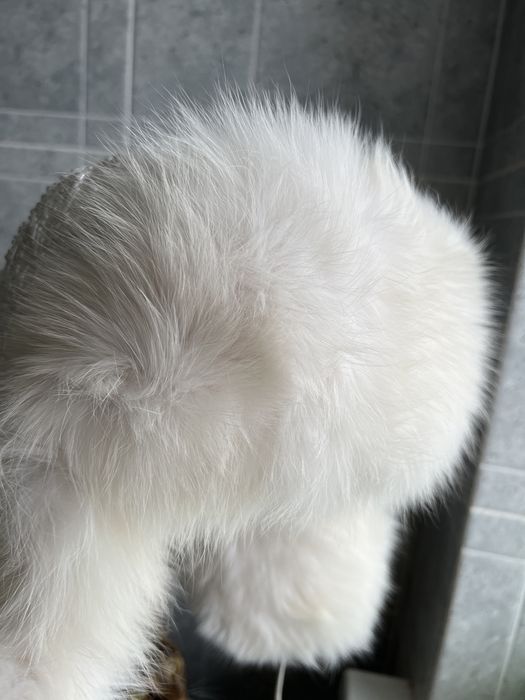 Шапка ушанка