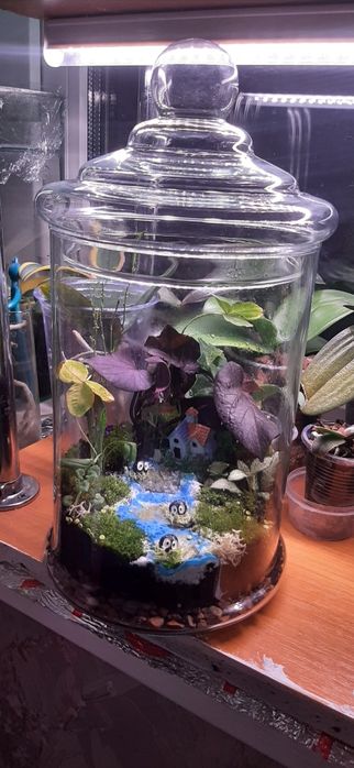 Продам флорариумы. Юго Восток