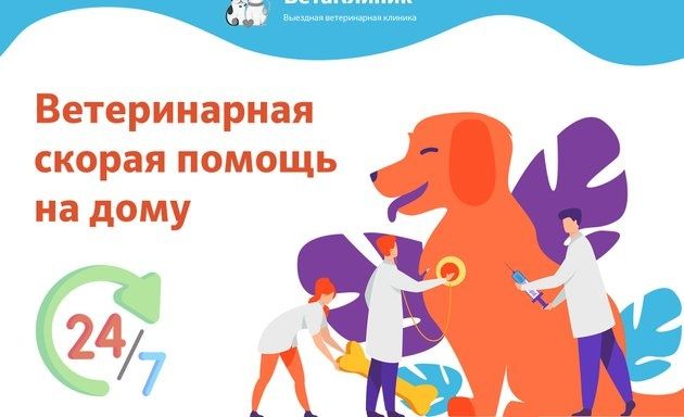 Ветеринар на дом