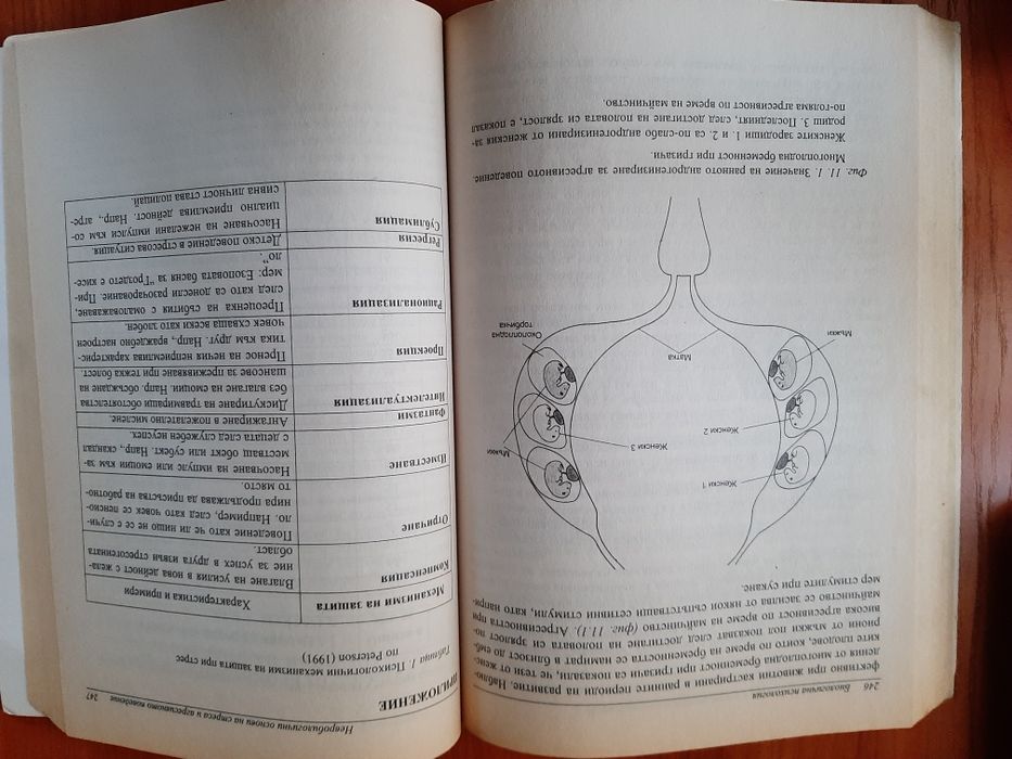 Биологична психология Боряна Пирьова