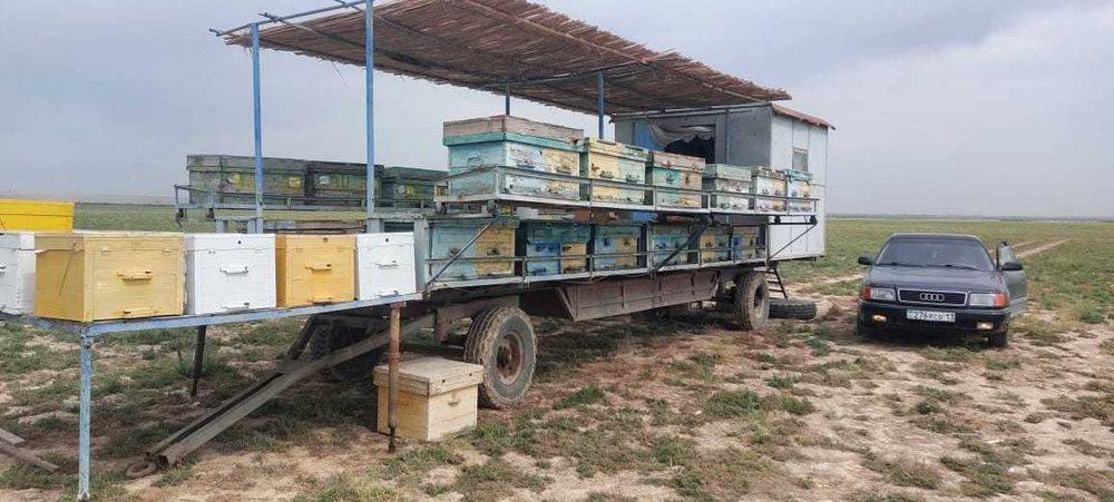 Продам пчело прицеп