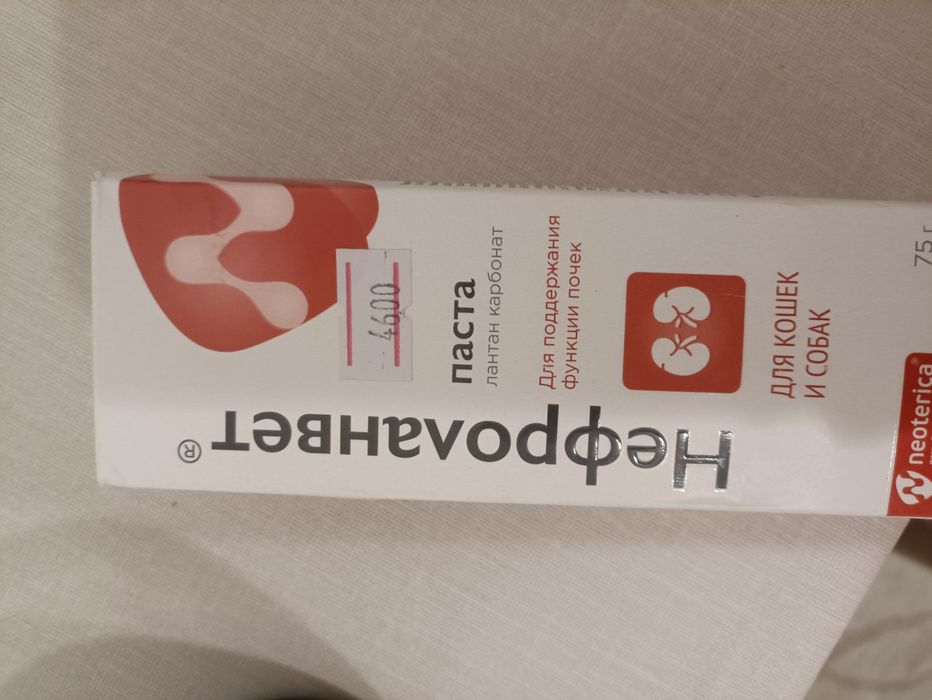 Паста для кошек и собак