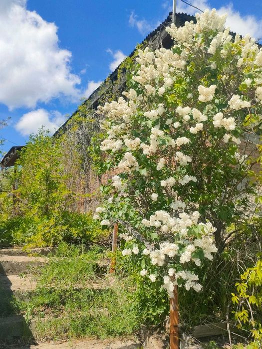дом для вашей семьи