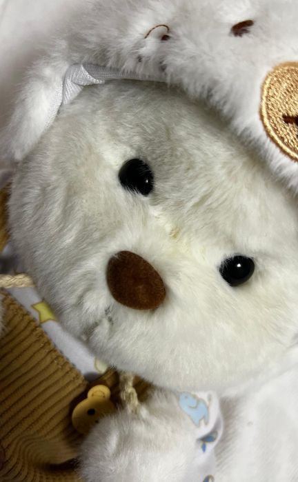 Мягкая мишка в костюме