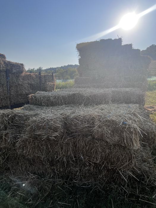 Vând baloți de fân