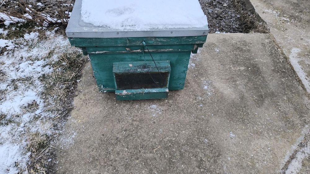 Cutii de stupi de 17 rame 3,3cm grosime