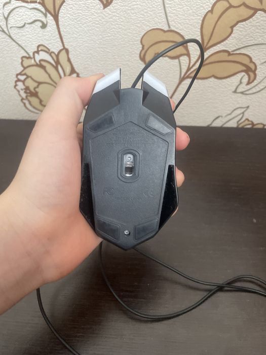 Кампитор на мишка