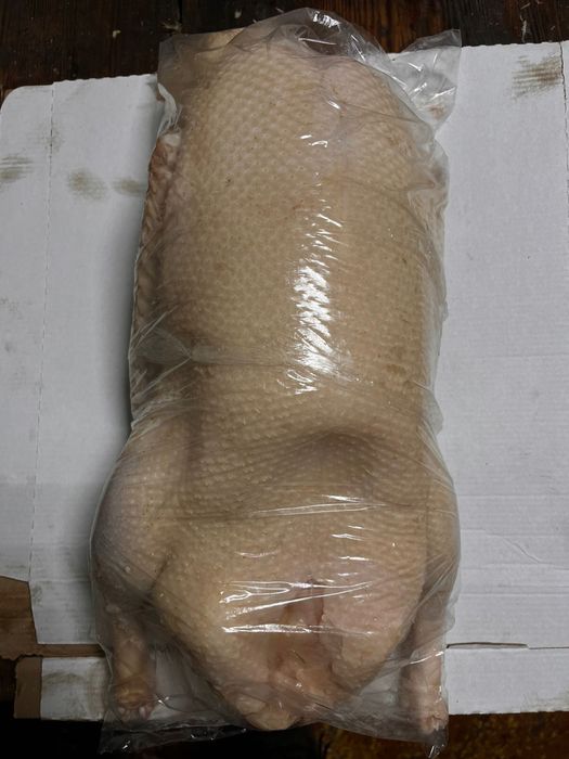 Продам тушки гусей.