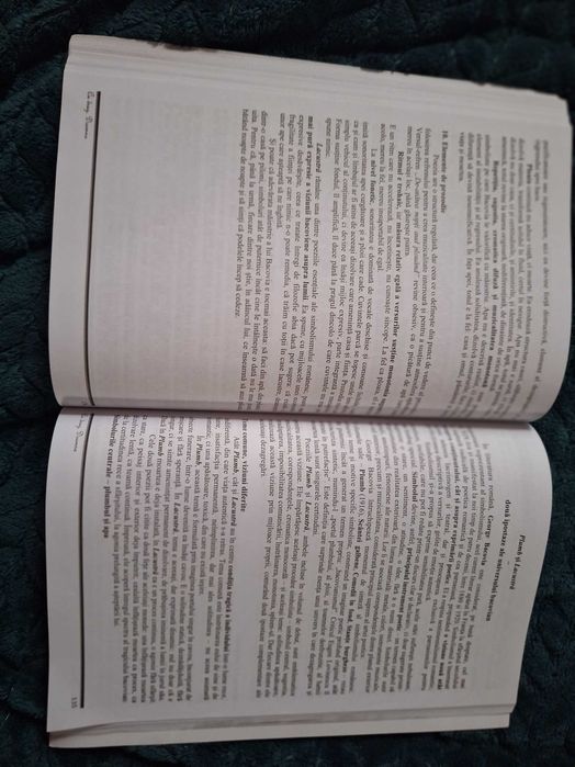 Titularizare și definitivat - învățători/ primar - eseuri și teste