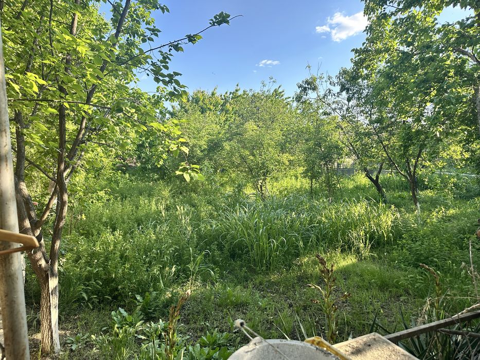 Сотилади: Ер участкаси ва эски уй (13 сотих)