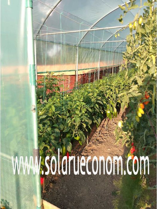 Solarii(sere) de calitate!