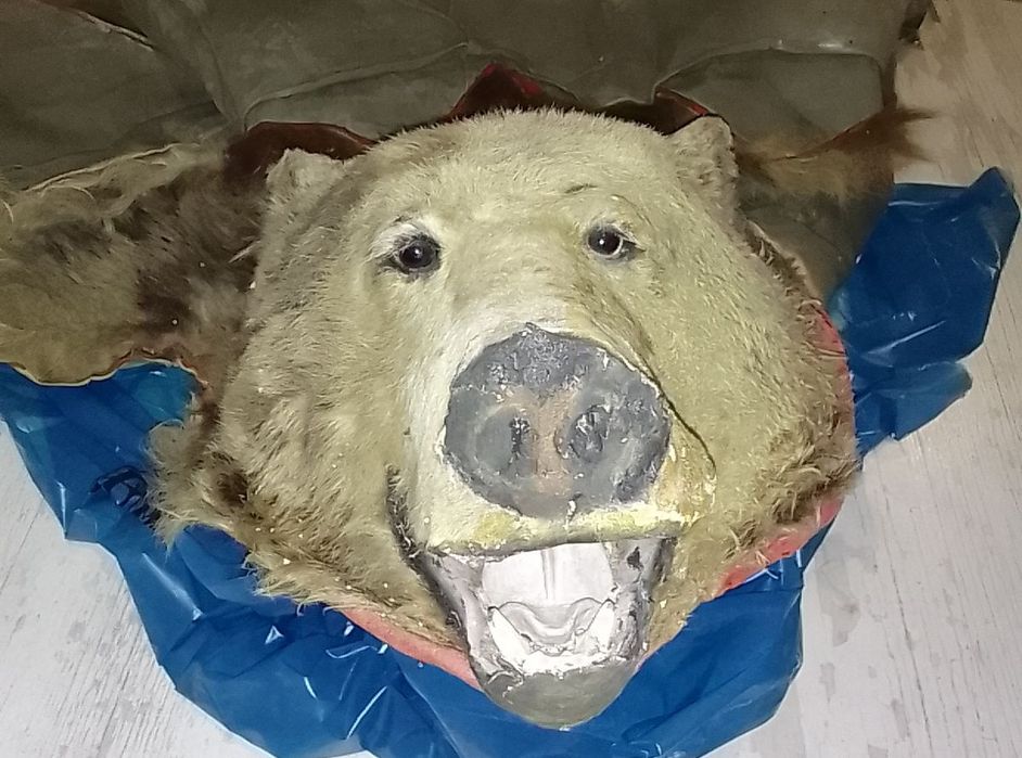 Килим/пано от мечка