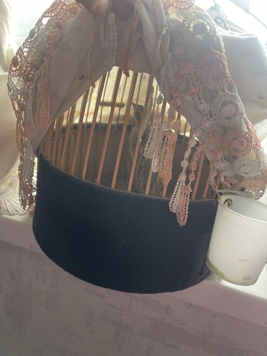 Бөдене сайрайтын