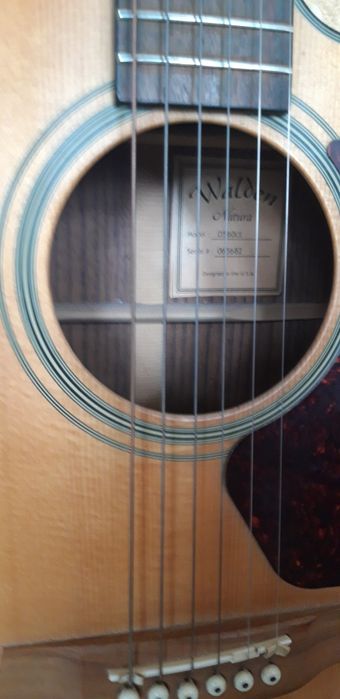 Gitara Walden (aqsh) 283$