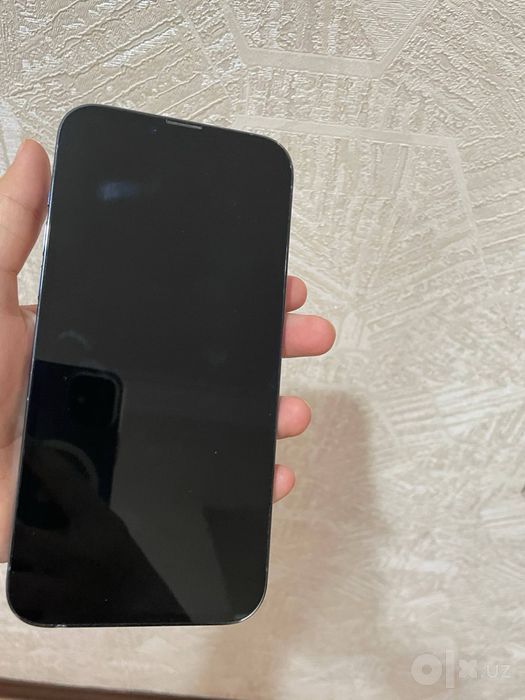 Iphone 13 pro max 1 tb