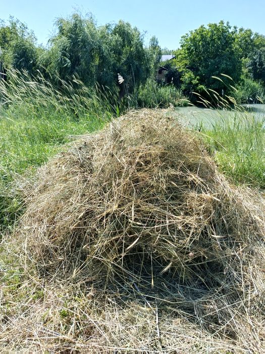 Продаётся Луговое Сено