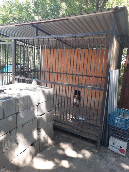 Вольер для собак