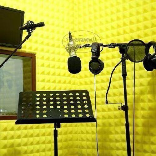 Продам акустический поролон