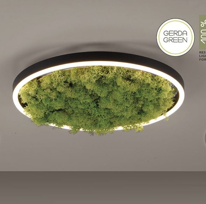 Плафониера от естествен исландски мъх