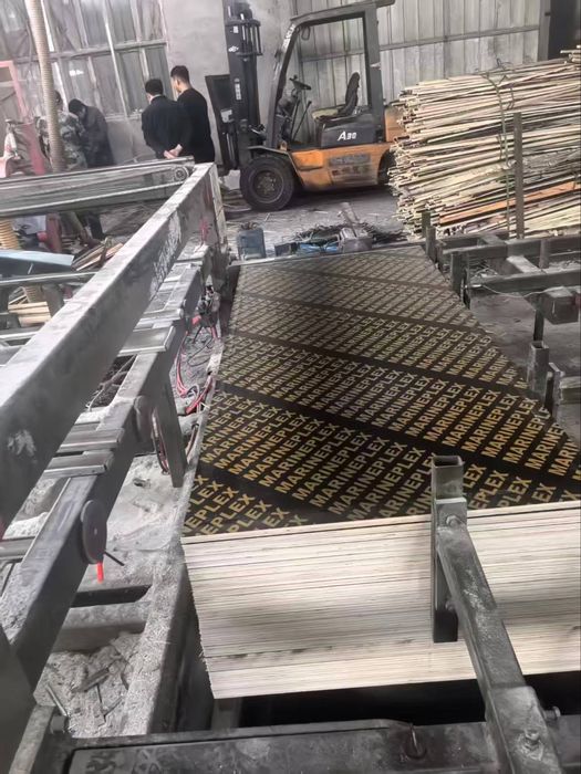 Ламинированная фанера 18