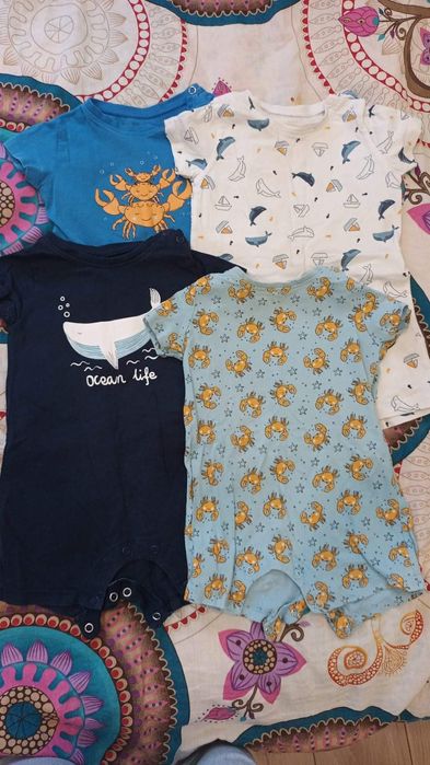 Бодита, якенца, космонавт