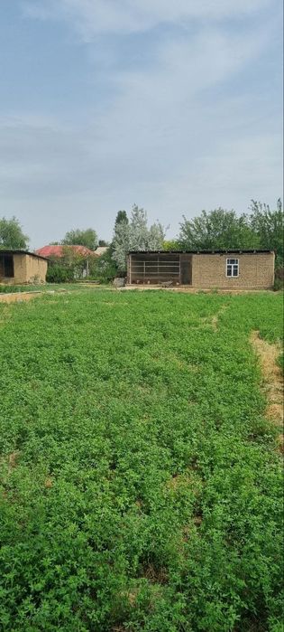 Участка сотилади октябрда