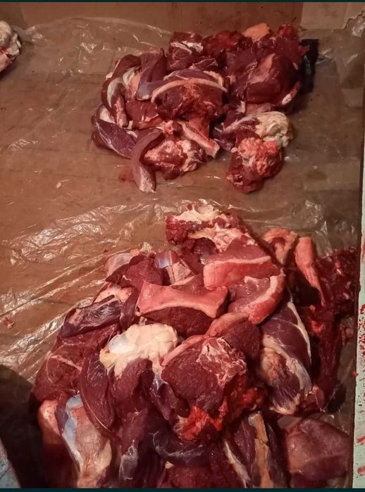 Мясо Ет Говядина Костанай