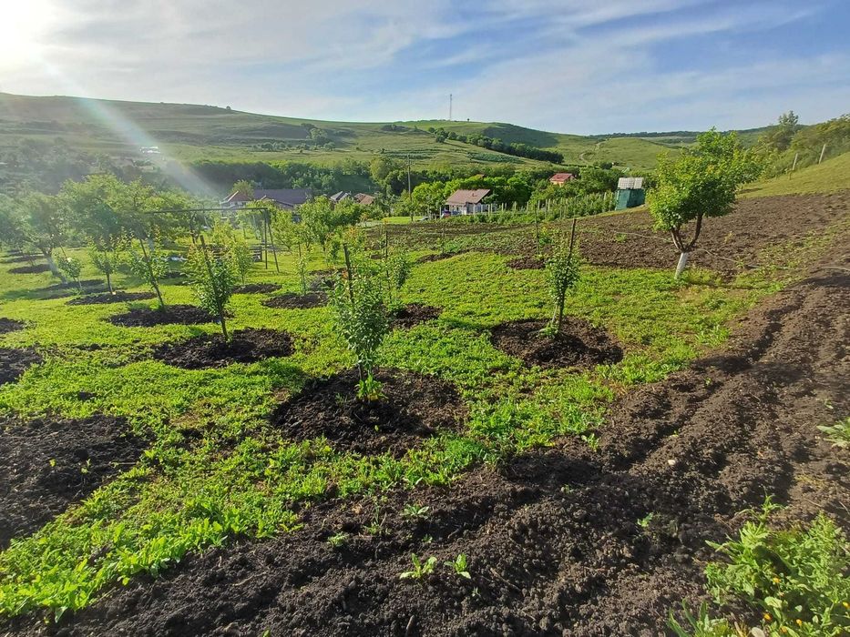 Vand teren intravilan + casa la 14.5km de Aeroport Cluj