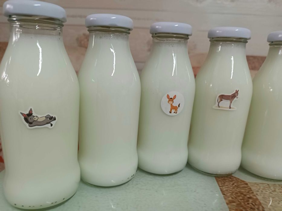 Vand lapte de magarita