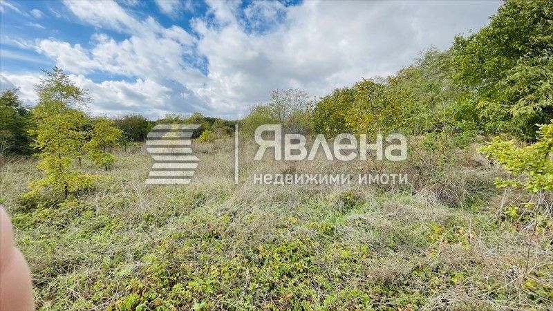 Продава се Парцел в с. Камен бряг, Област Добрич - 1228 кв.м за 25 €/кв.м - Снимка #4