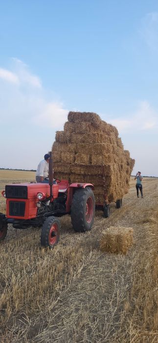 Boti de paie de grâu