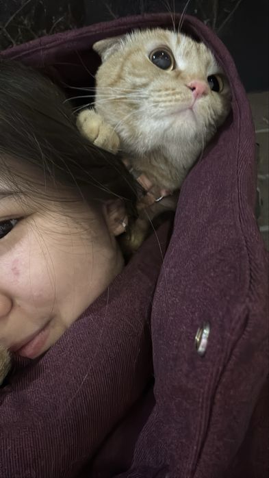 Отдам хорошие руки