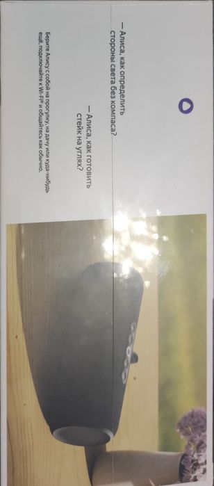 Яндекс станция Стрит