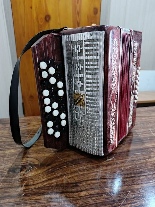 Детская гармошка