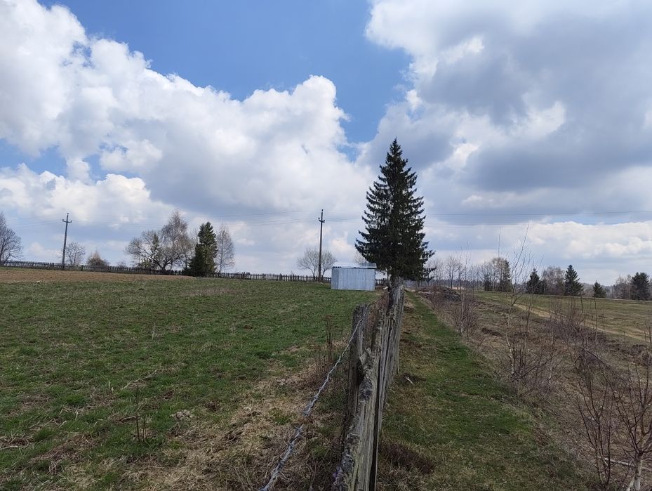 Teren plat 2.920 mp  Dealul Negru 5km de Beliș  vedere muntele Vlădeasa