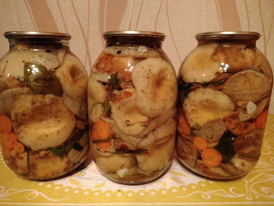 Маринованные грибы лесные