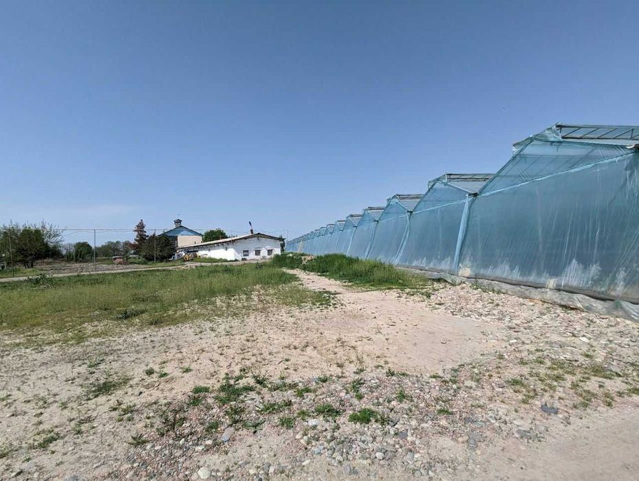 Птицеферма, пруд, теплица продается 5 га, все коммуникации Урта Чирчик