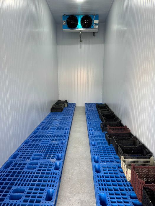 Холодильная камера в аренду / Muzlatgich kamera arendaga