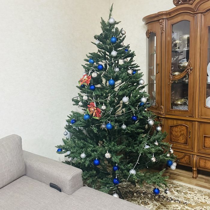 Елка бу отличная