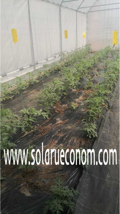 Solarii (sere) de gradina cu stuctura din teava zincata sau neagra