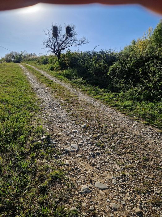 Teren intravilan in Sinteu Valea Tarnei