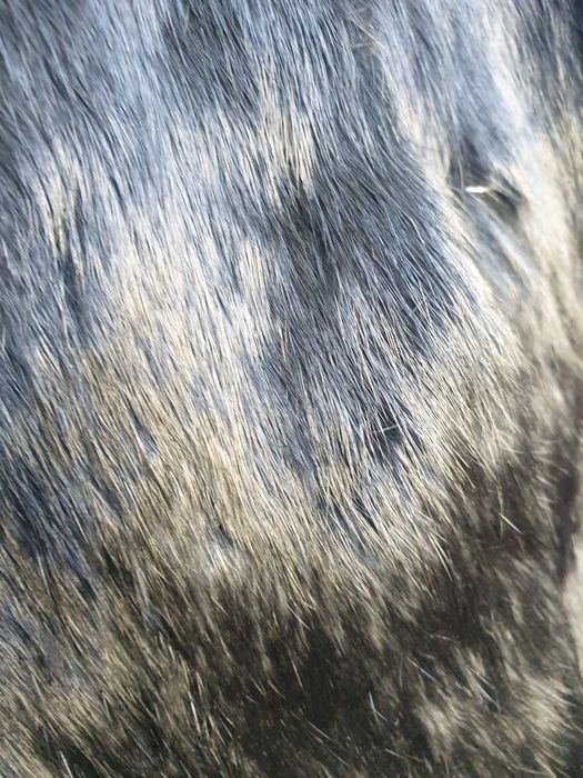Haina blana argintie - naturala